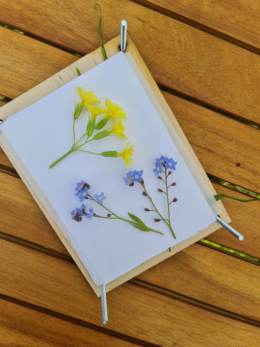 7 idéer til dine pressede blomster 🌼