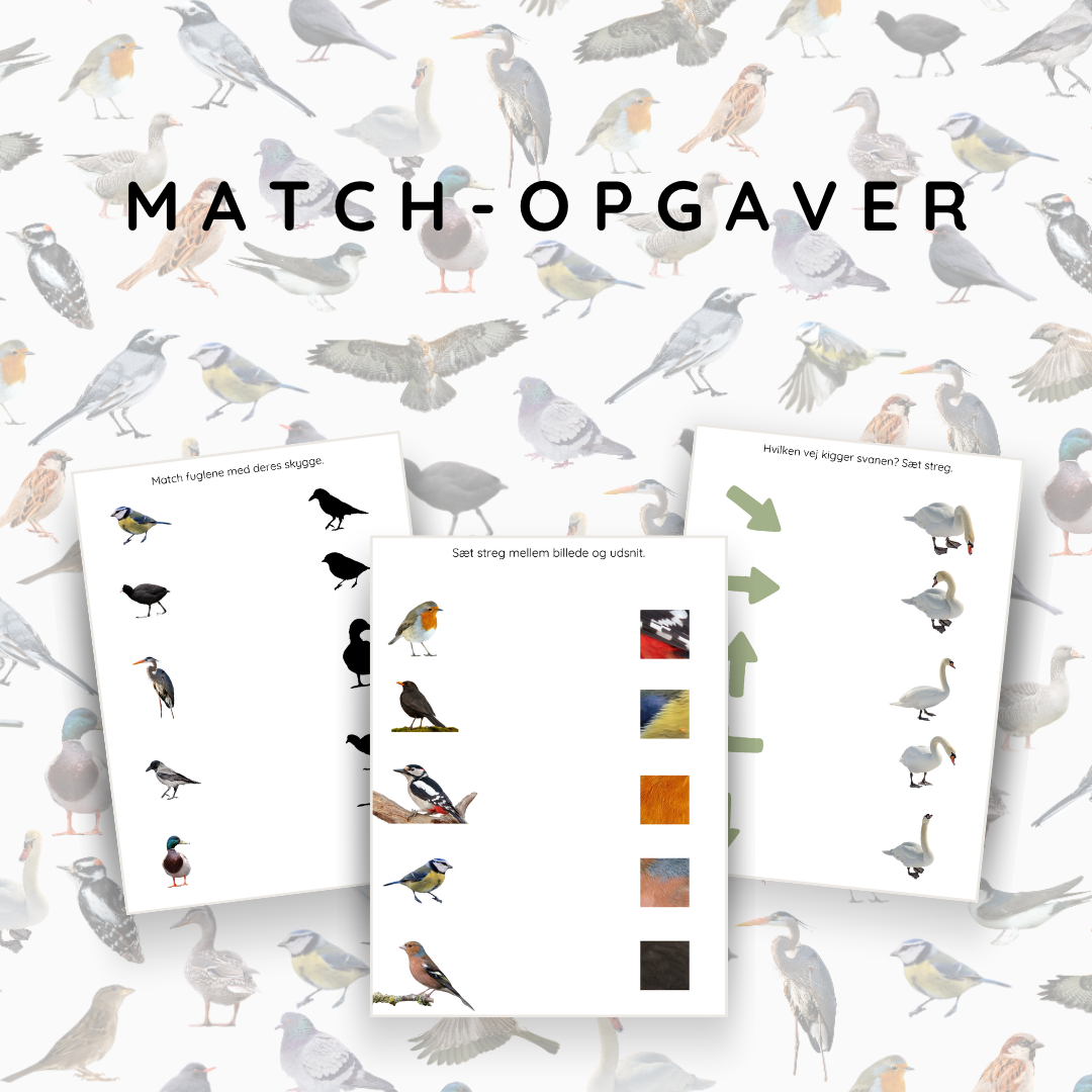 Fugle - opgavebogen