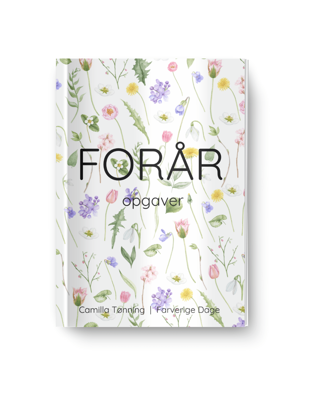 Forår - opgavebogen