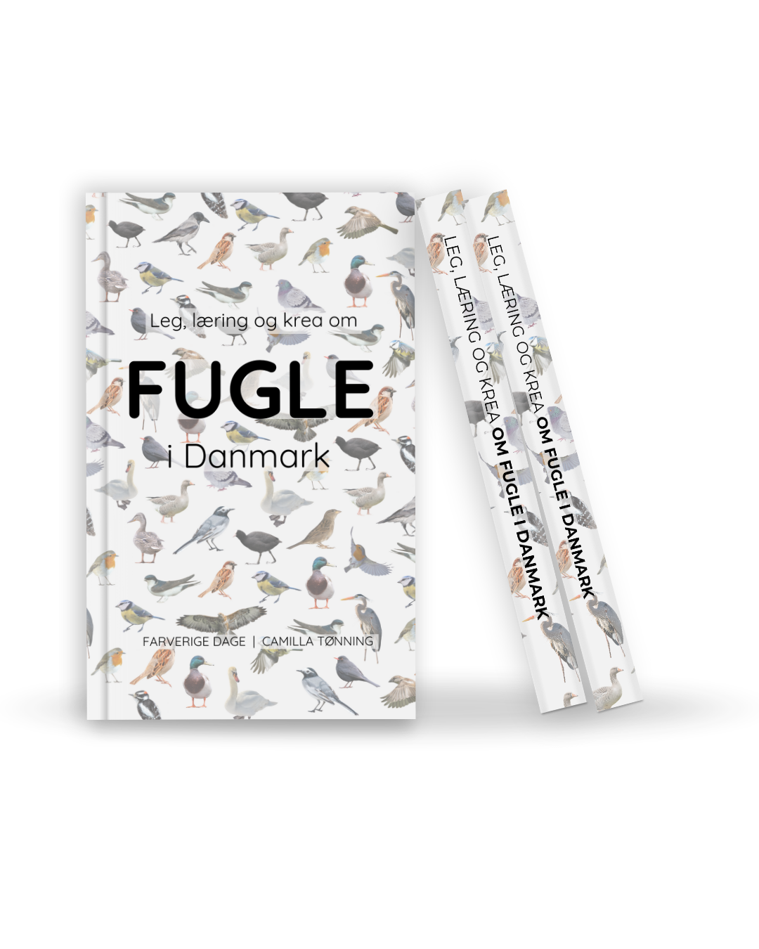 Fuglebog til børn om danske fugle