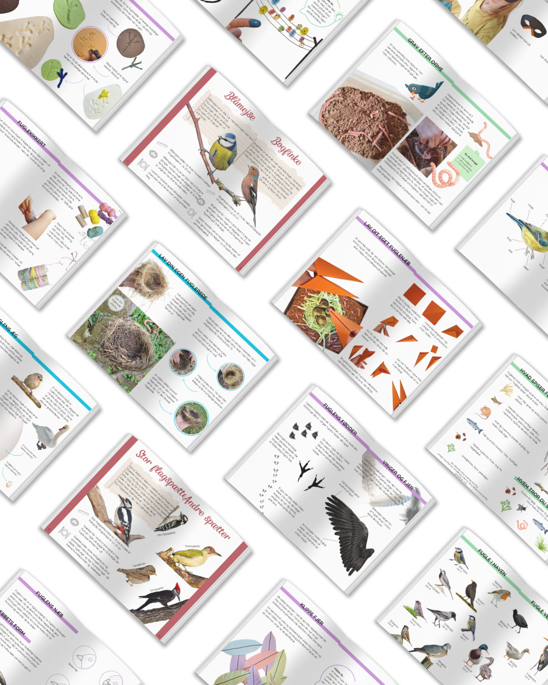 Leg, læring og krea om fugle i Danmark - en fuglebog for børn