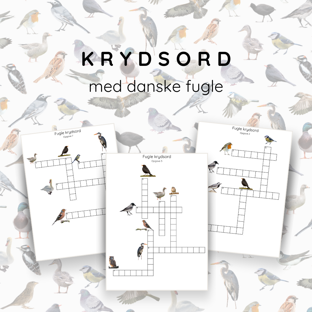 Krydsord med fugle - print selv