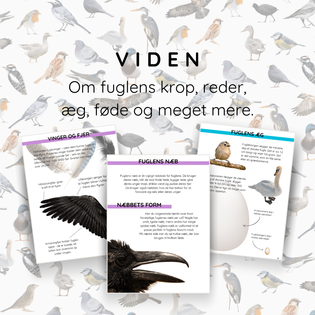 Temapakke: Danske Fugle