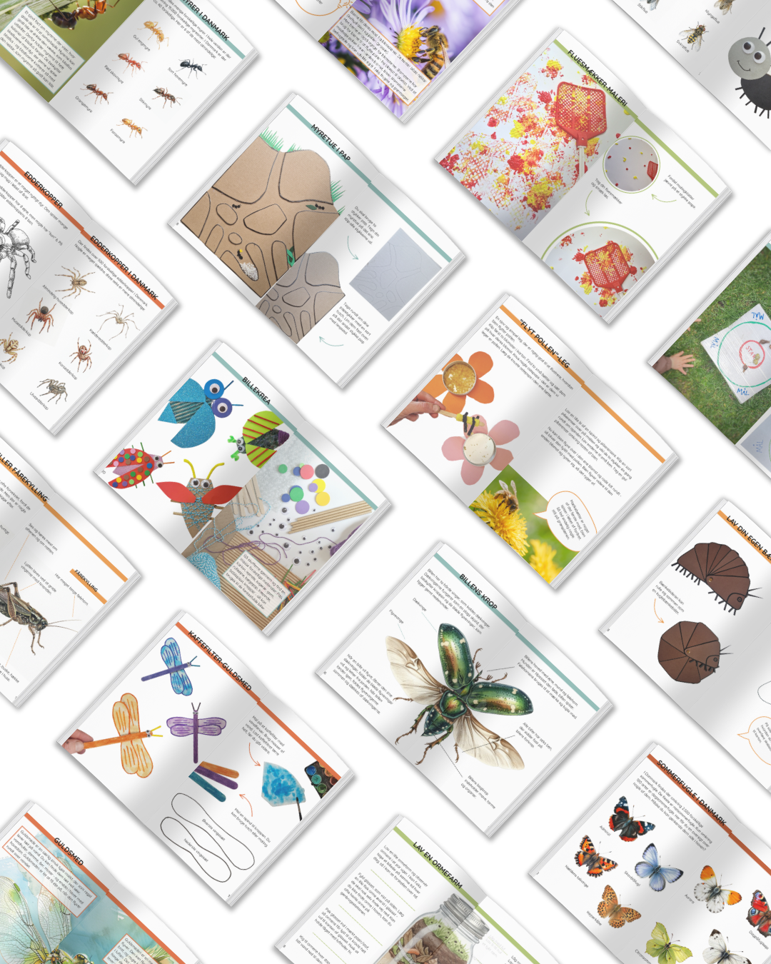 kreative aktiviteter med insekter for børn fra insektbog