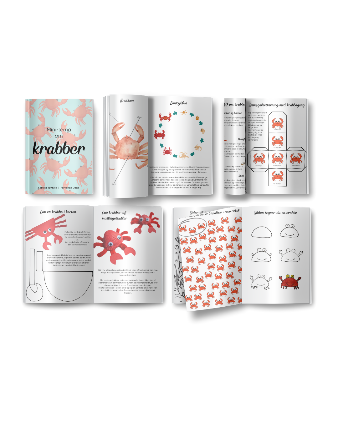 Mini-tema om krabben