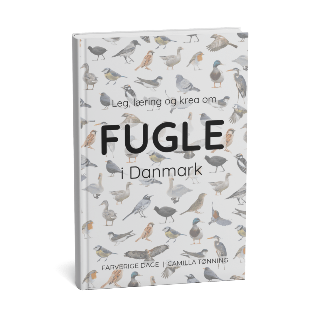Fuglebog til børn: Leg, læring og krea om fugle i Danmark