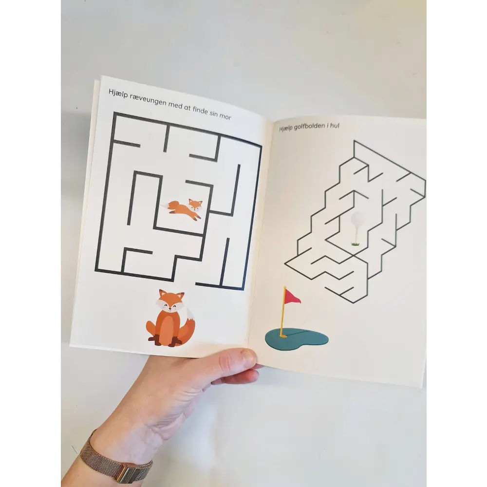 Labyrinter: niveau 2 - Variabel