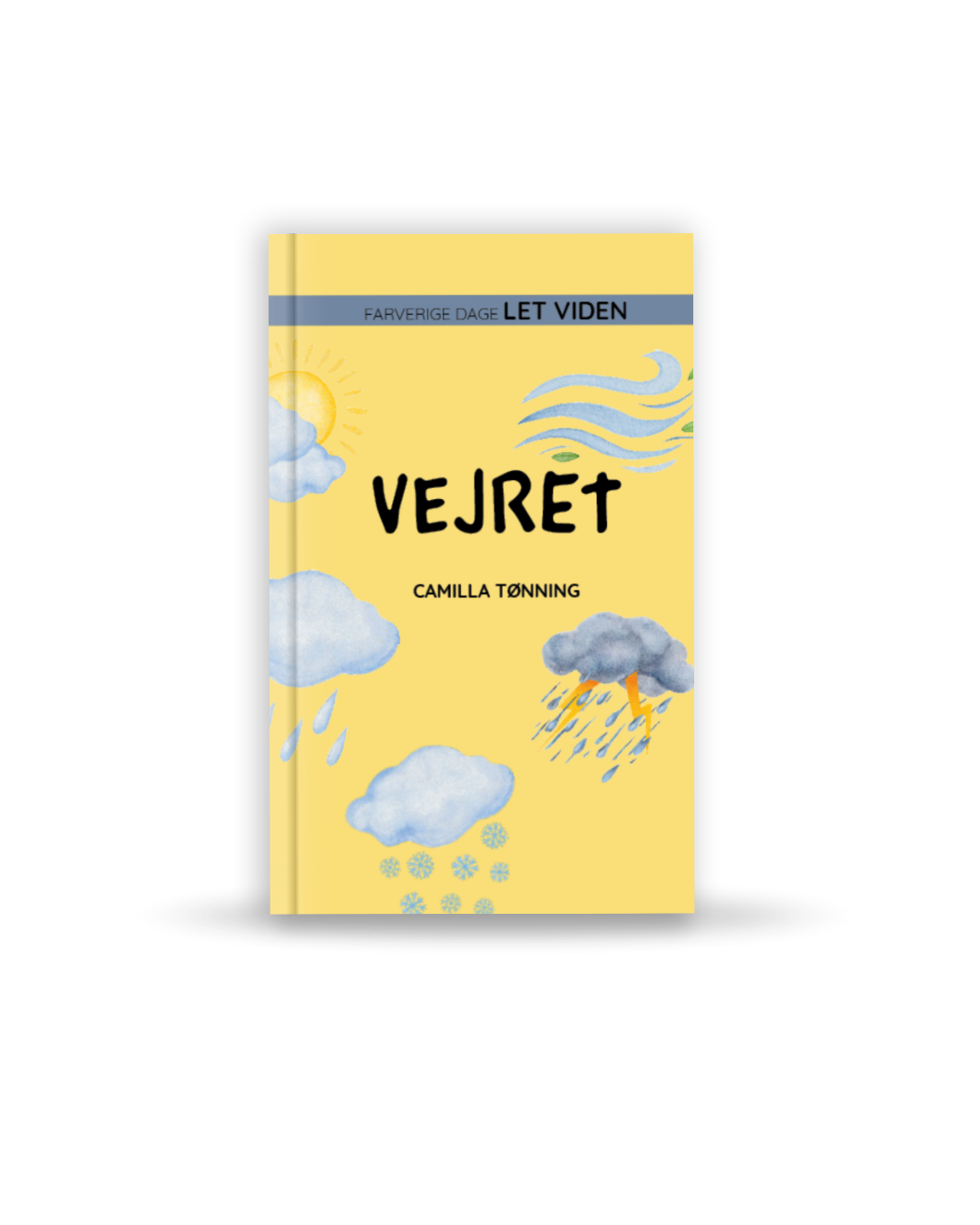 INTROPRIS Let viden: Vejret