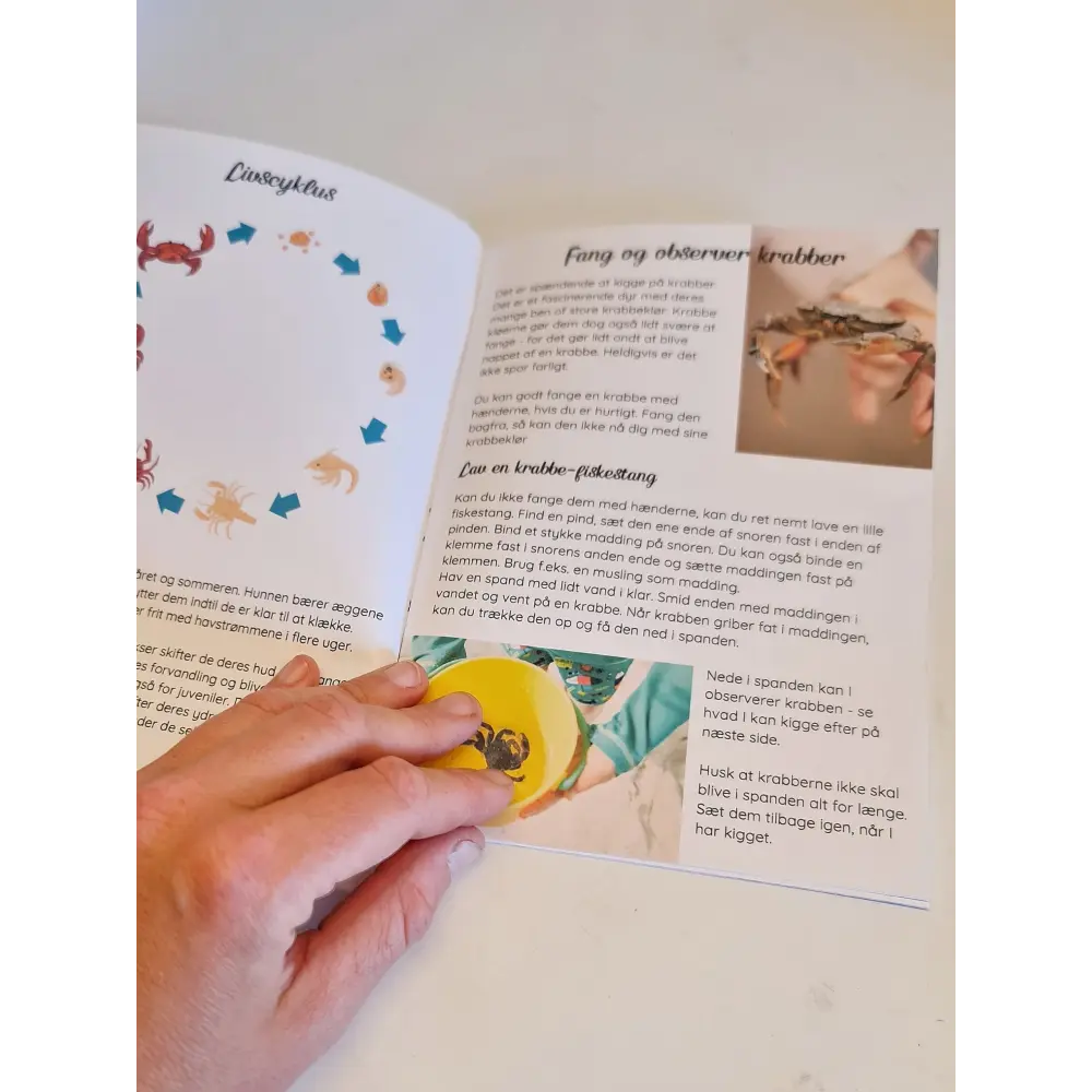Mini-tema om krabben - variabel