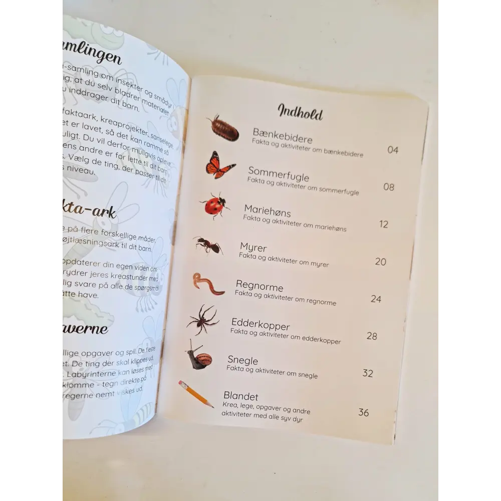 Tema: insekter og smådyr i haven - variabel