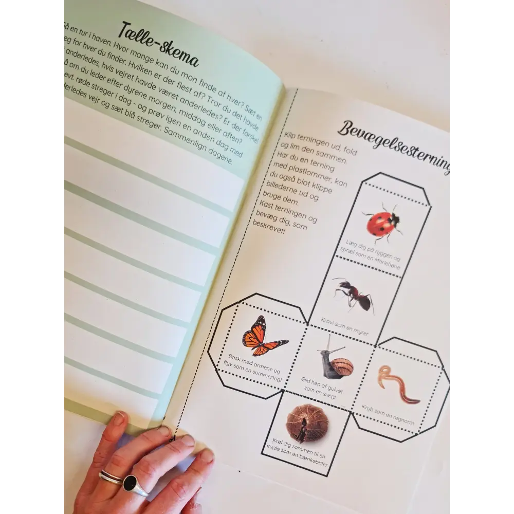 Tema: insekter og smådyr i haven - variabel