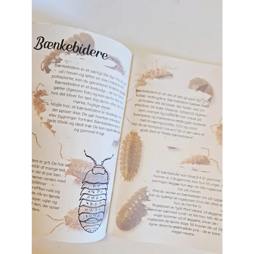 Tema: insekter og smådyr i haven - variabel