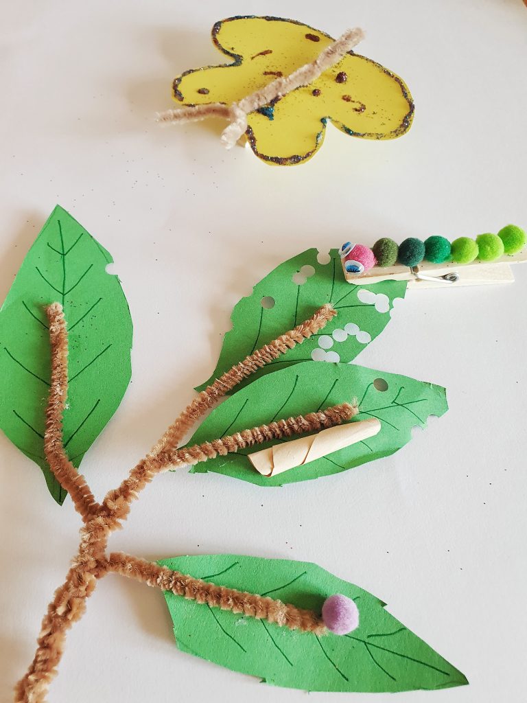 Sommerfuglens livscyklus