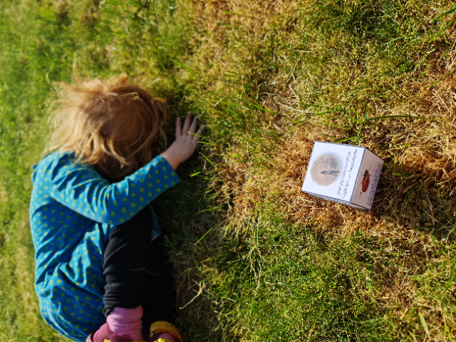 Krible krable aktiviteter og lege for børn