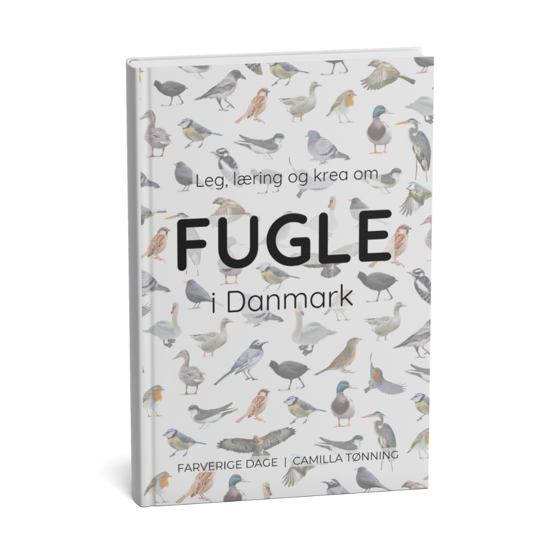 Fugle for børn: Lær om danske fugle i haven