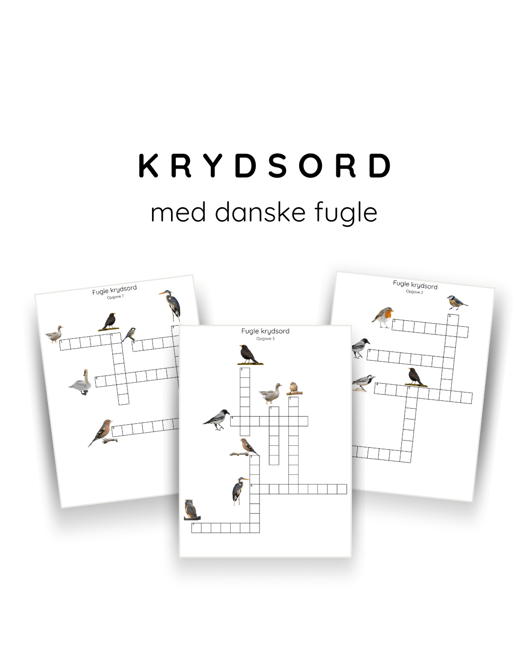 Krydsord med danske fugle - Farverigedage