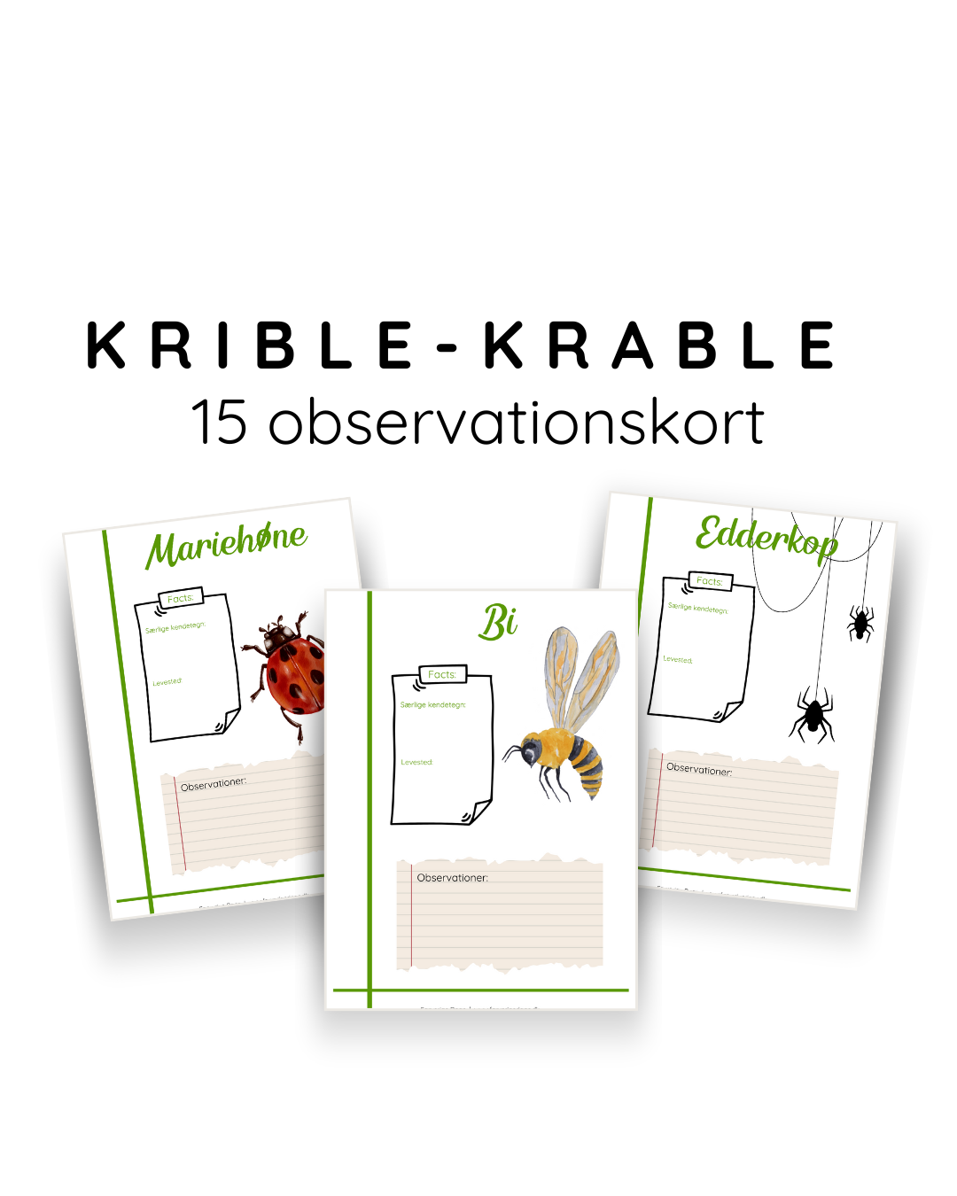 Insektjagt for børn – observationskort til nysgerrige naturdetektiver