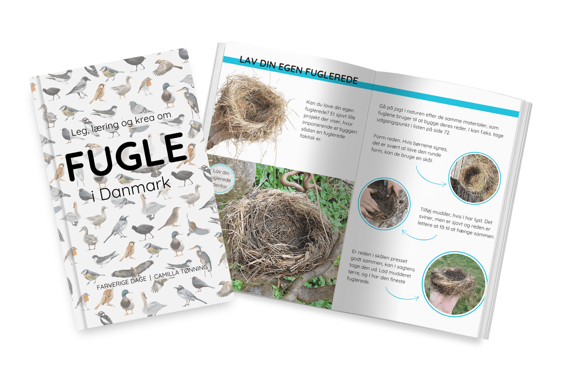 Fugle