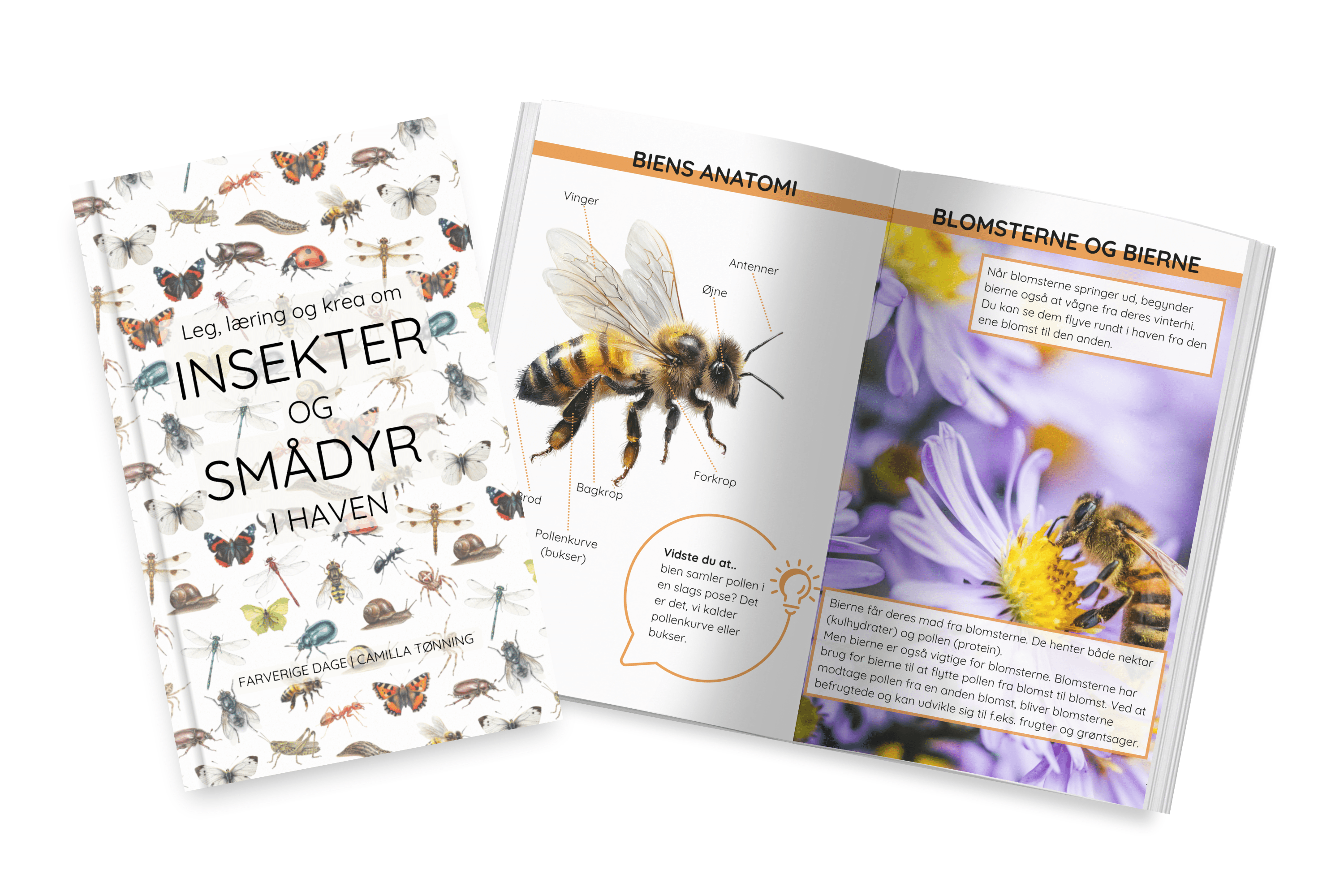 Insekter og krible-krable til børn - Farverigedage