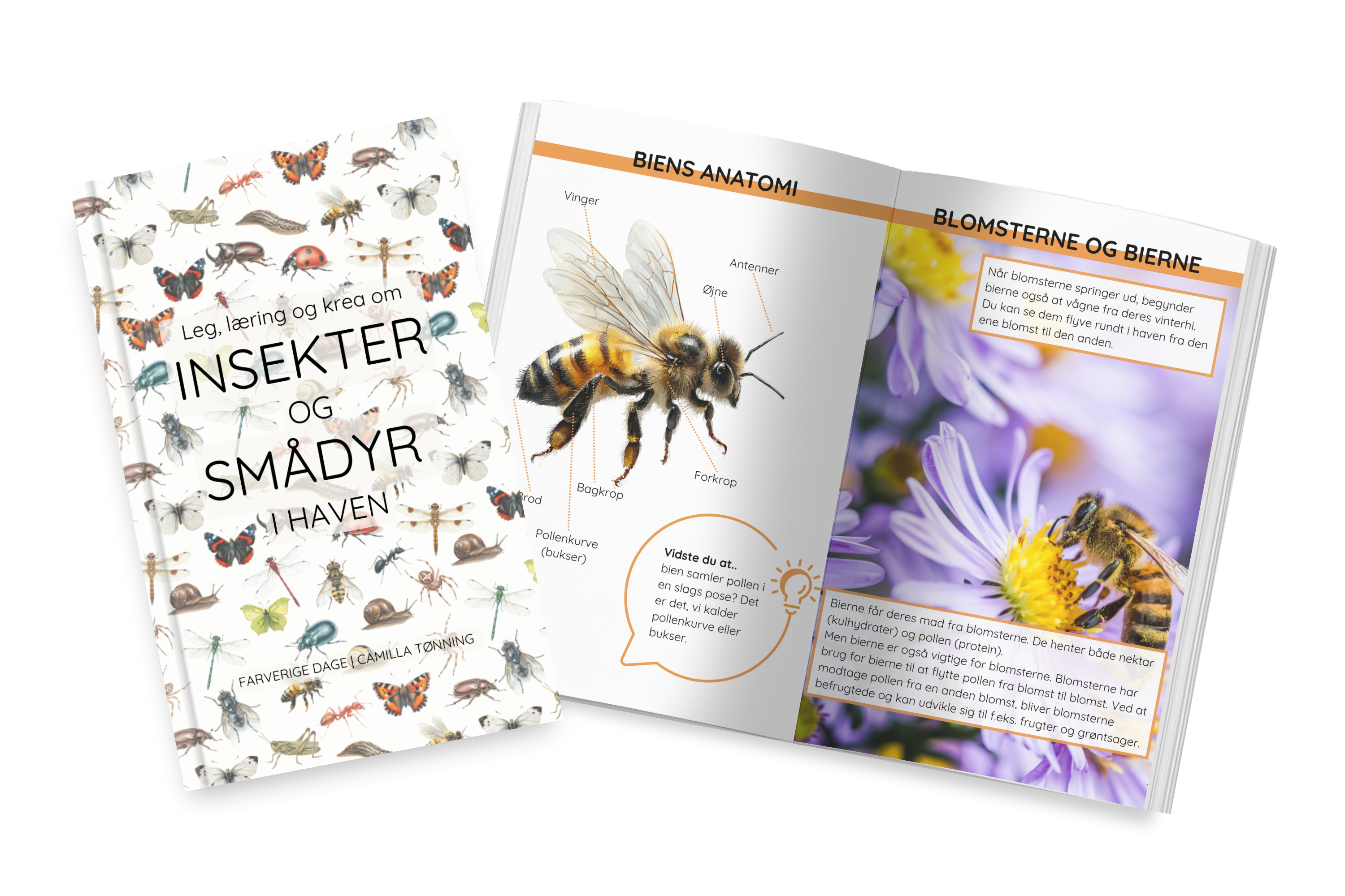 Insekter og krible-krable til børn