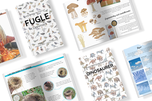 Læring & aktiviteter