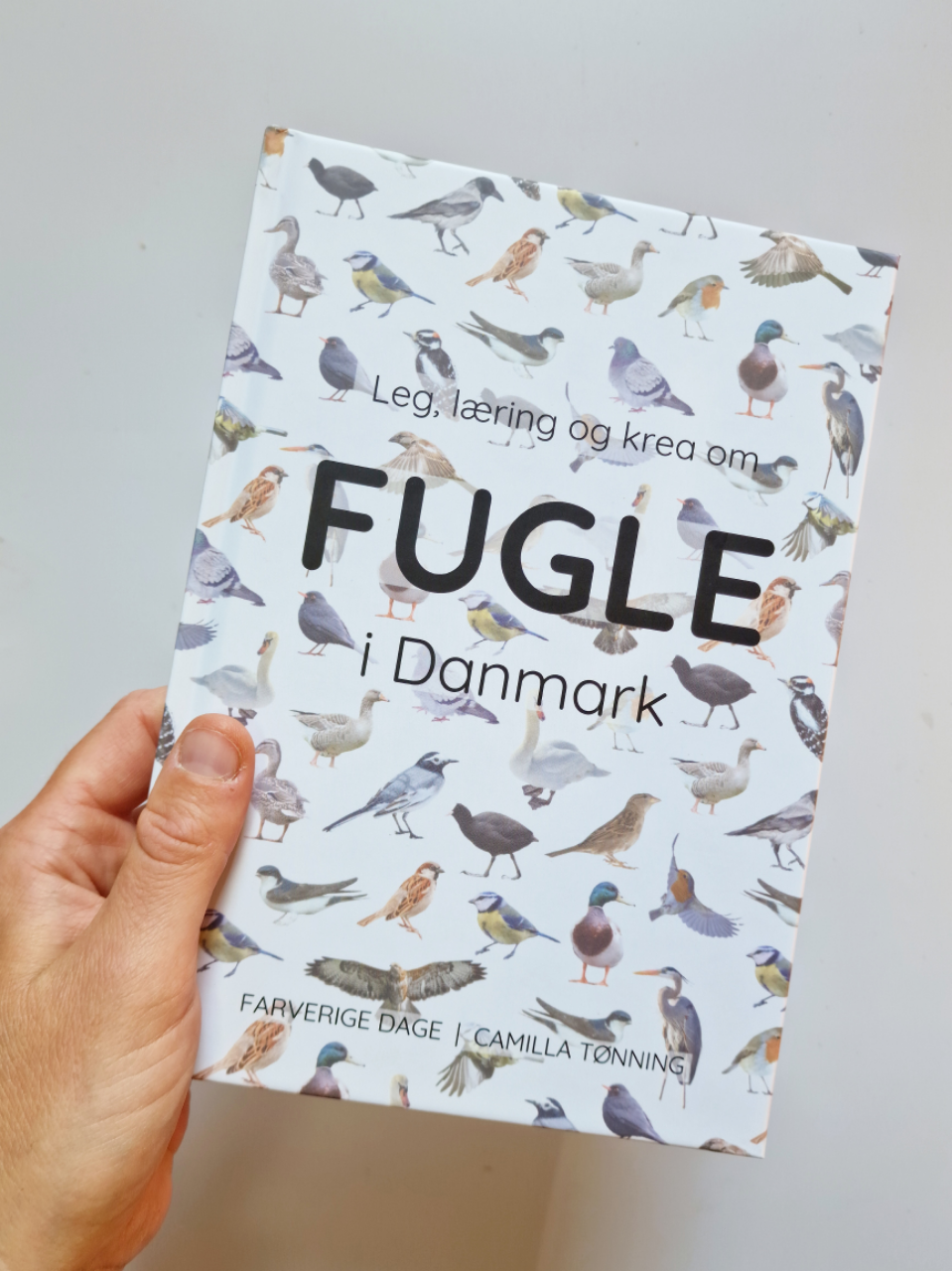 Leg, læring og krea om fugle i Danmark - en fuglebog for børn