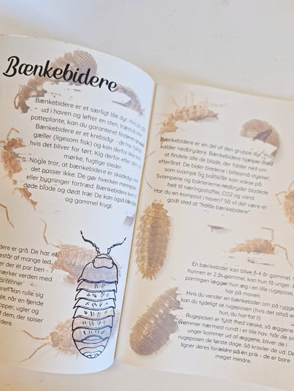 Tema: Insekter og smådyr i haven