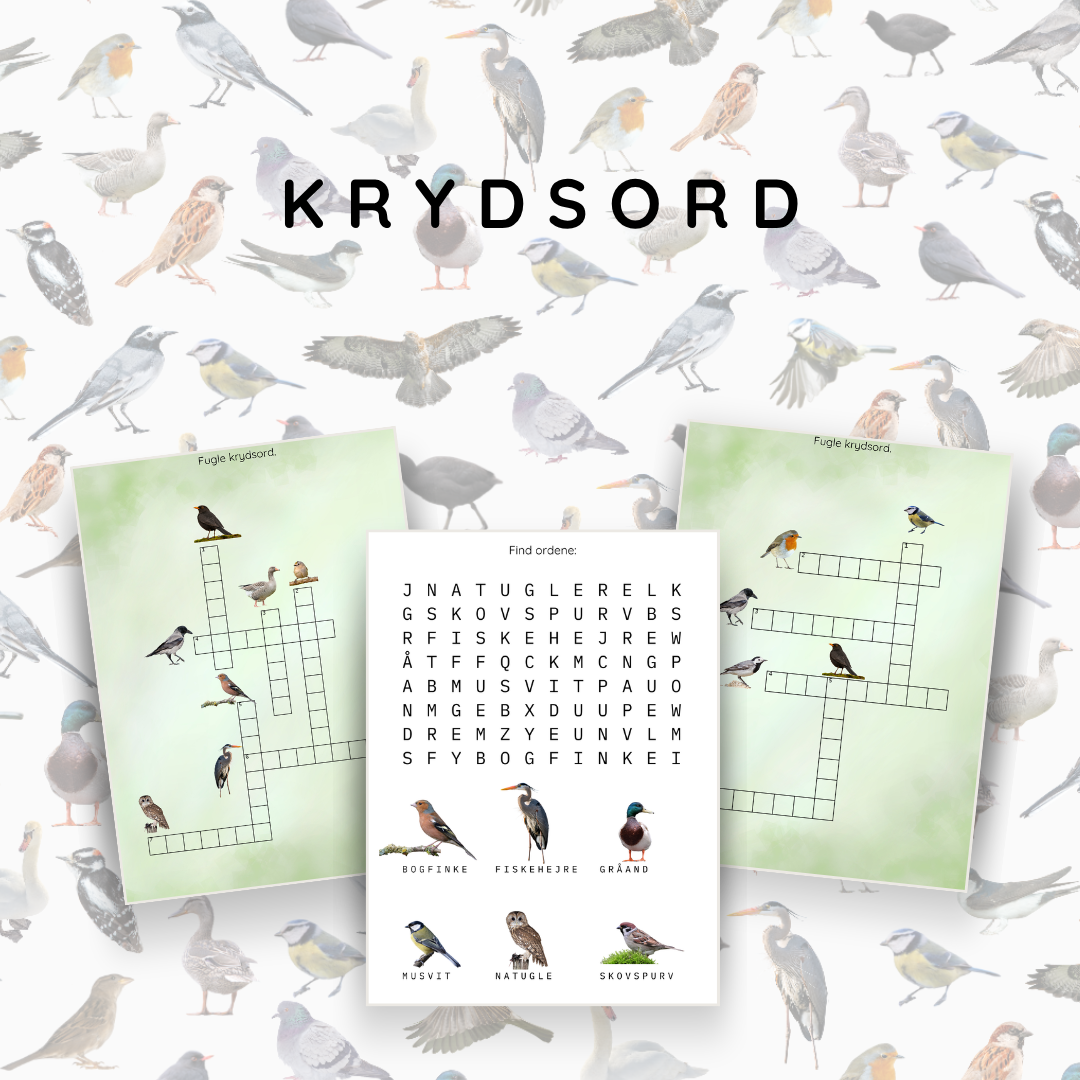 Temapakke: Danske Fugle