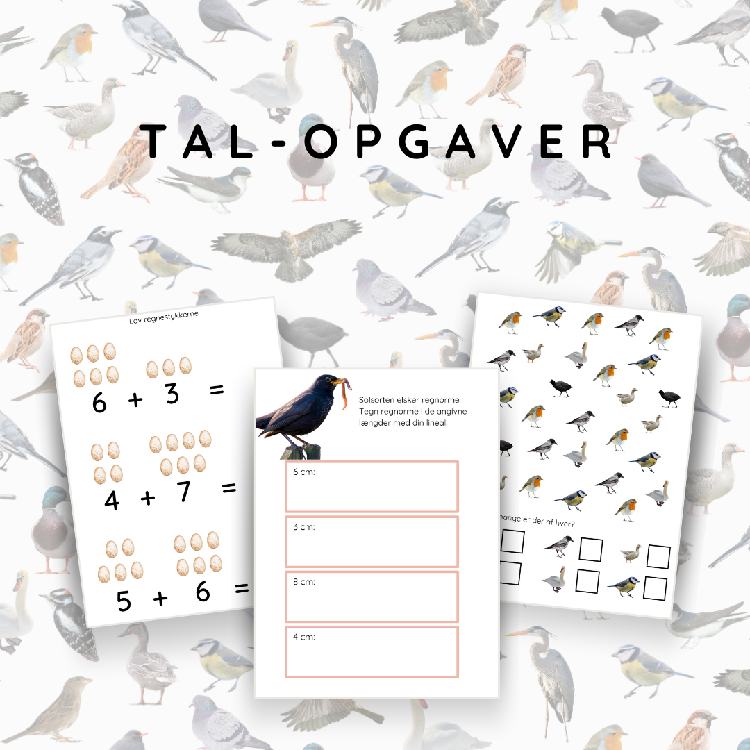 Fugle - opgavebogen
