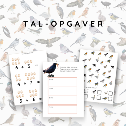 Fugle - opgavebogen