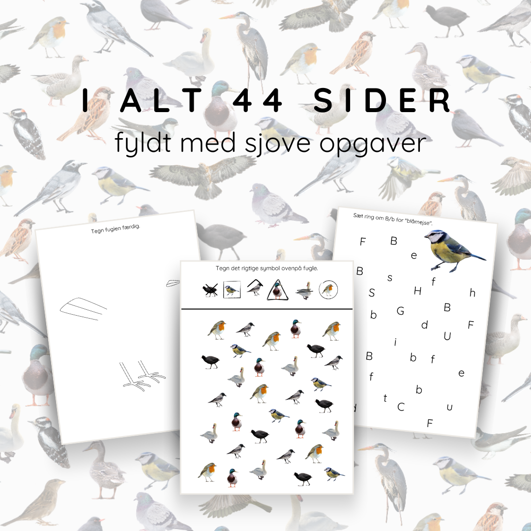 Fugle - opgavebogen
