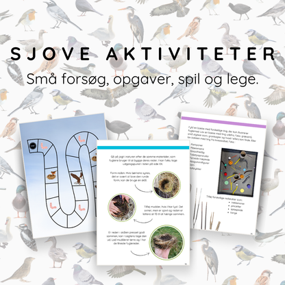 Aktiviteter med fugle for børn