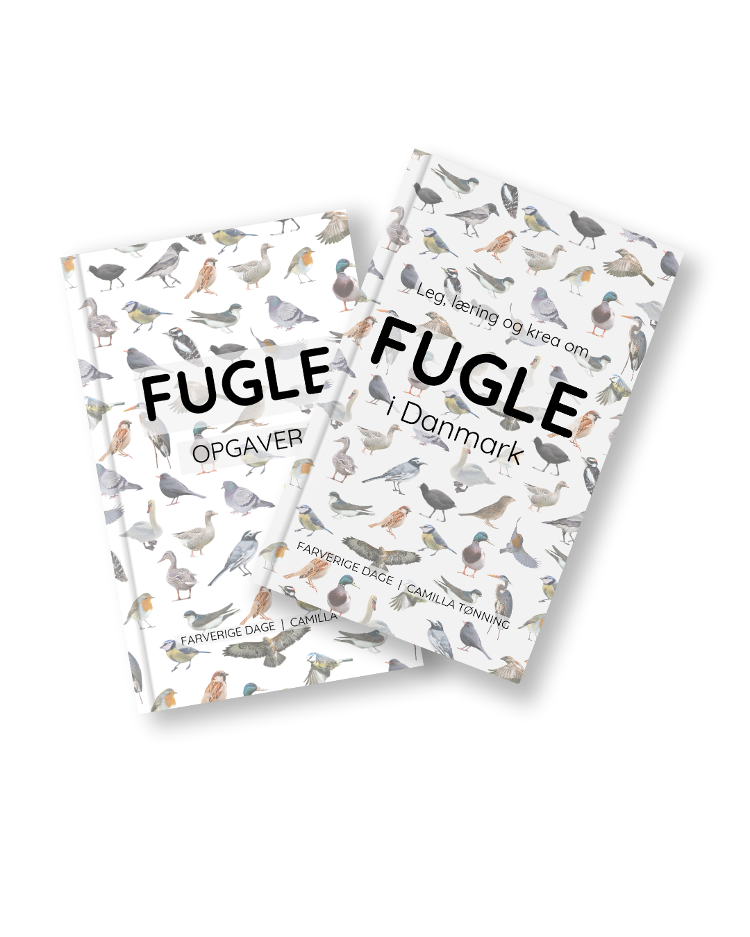 Leg, læring og krea om fugle i Danmark - en fuglebog for børn