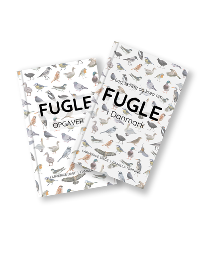 Leg, læring og krea om fugle i Danmark - en fuglebog for børn