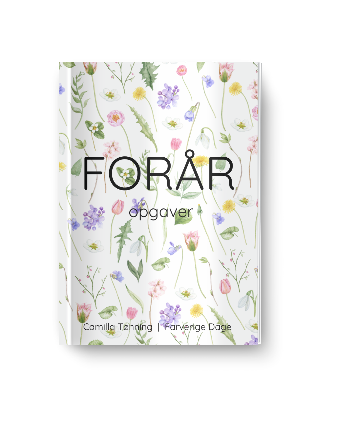 Forår - opgavebogen
