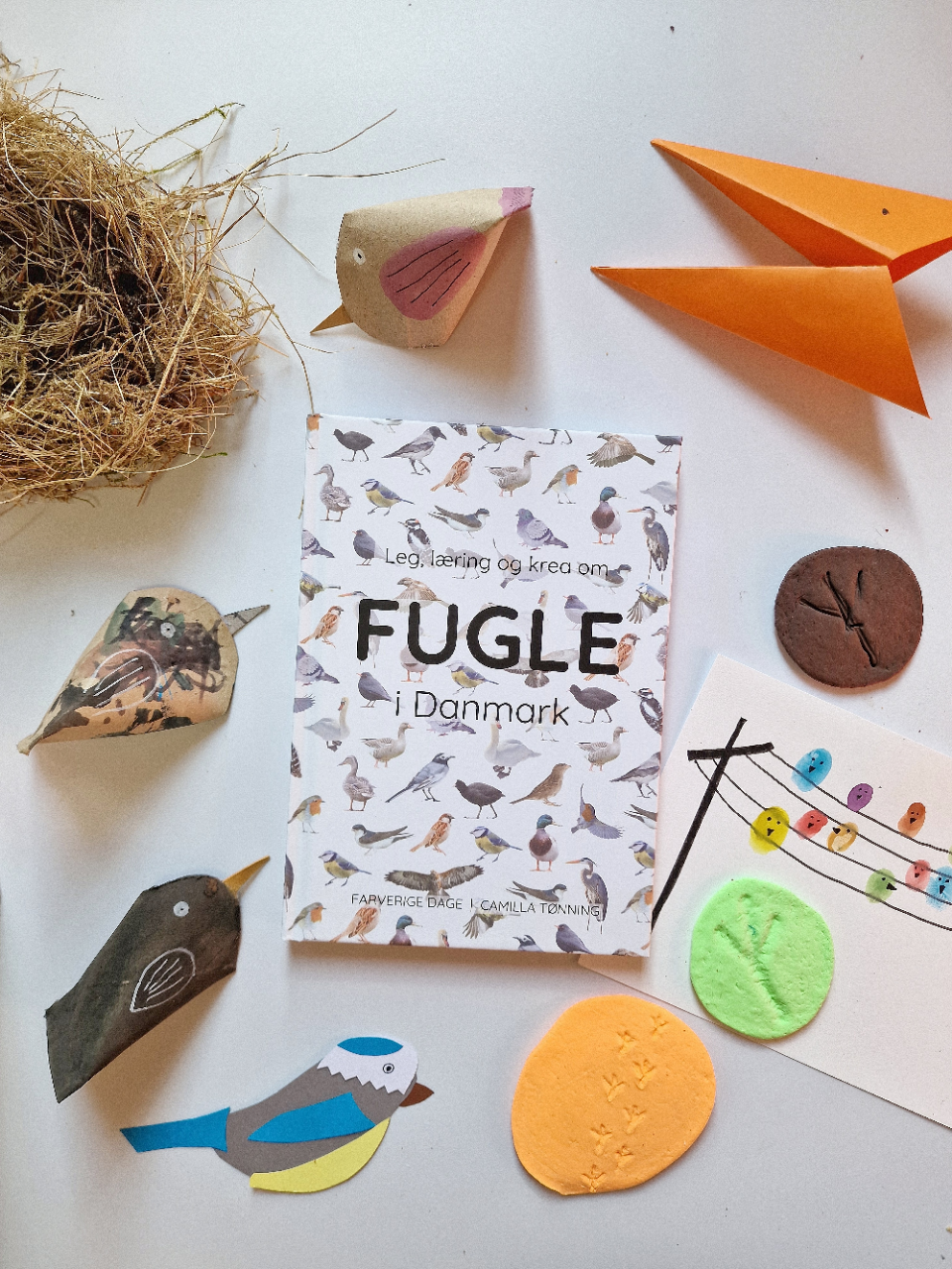 Lær om fugle i Danmark med børnebog