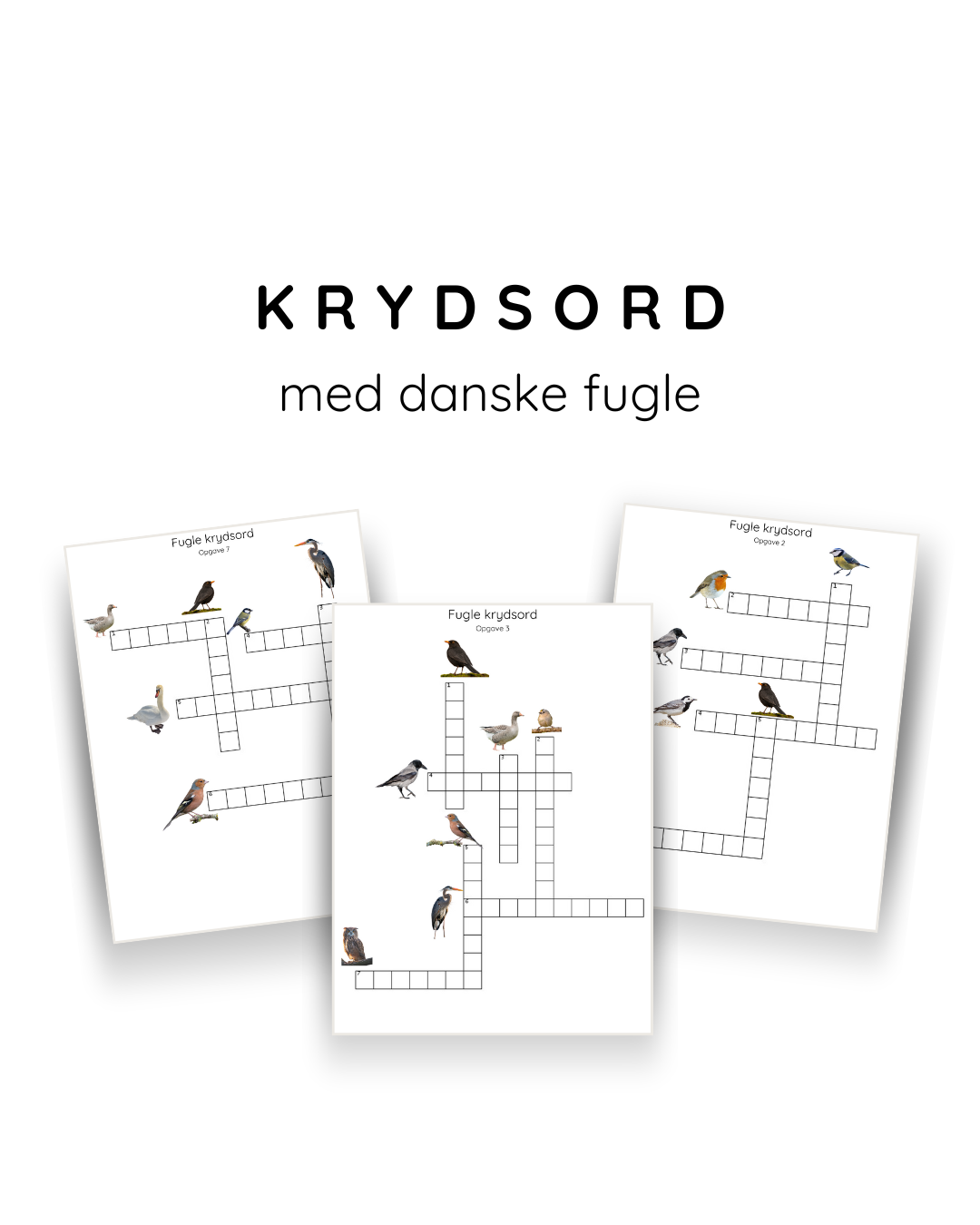Krydsord med fugle - print selv