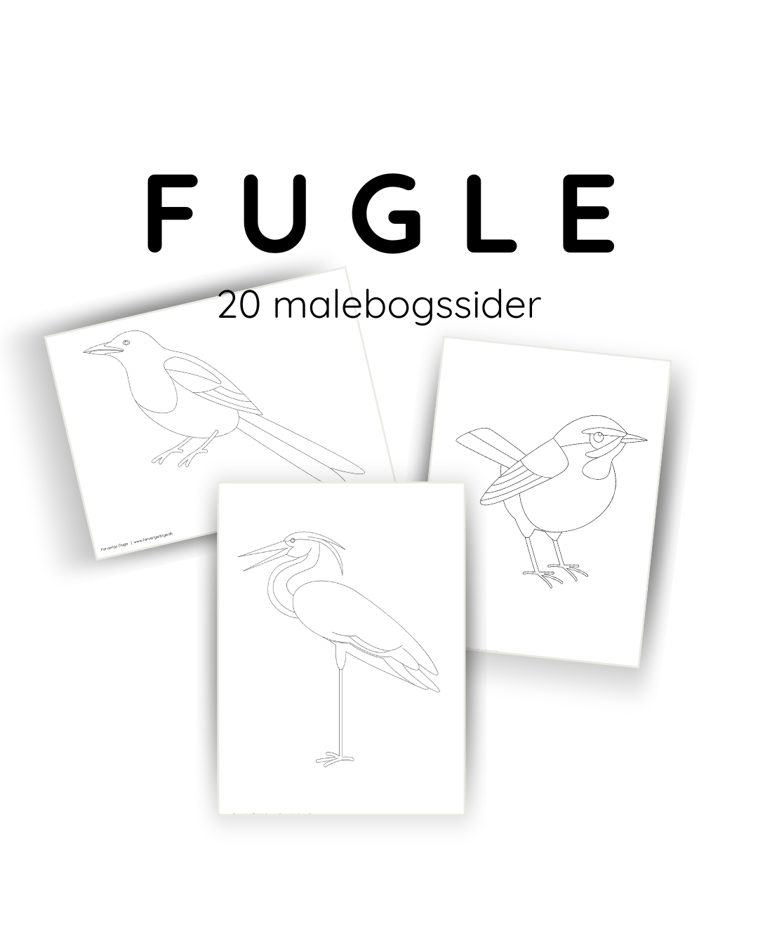 Farvelæg fuglene – 20 smukke fugletegninger til børn