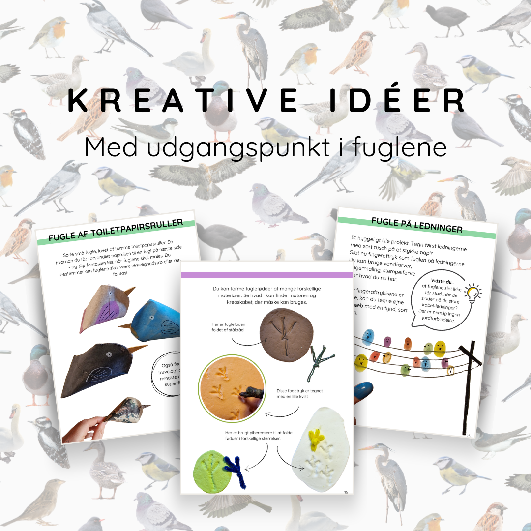 Kreative idéer med fugle