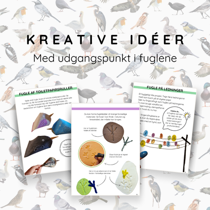 Kreative idéer med fugle