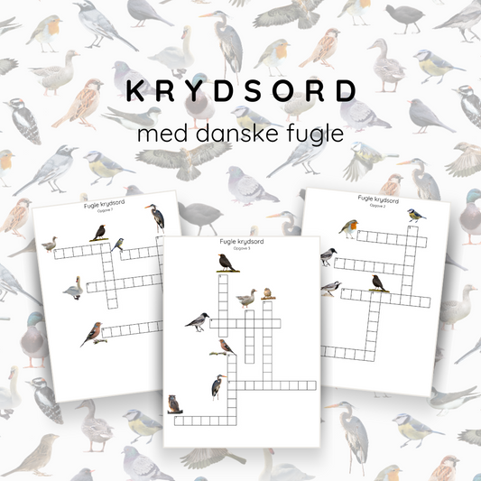 Krydsord med fugle - print selv