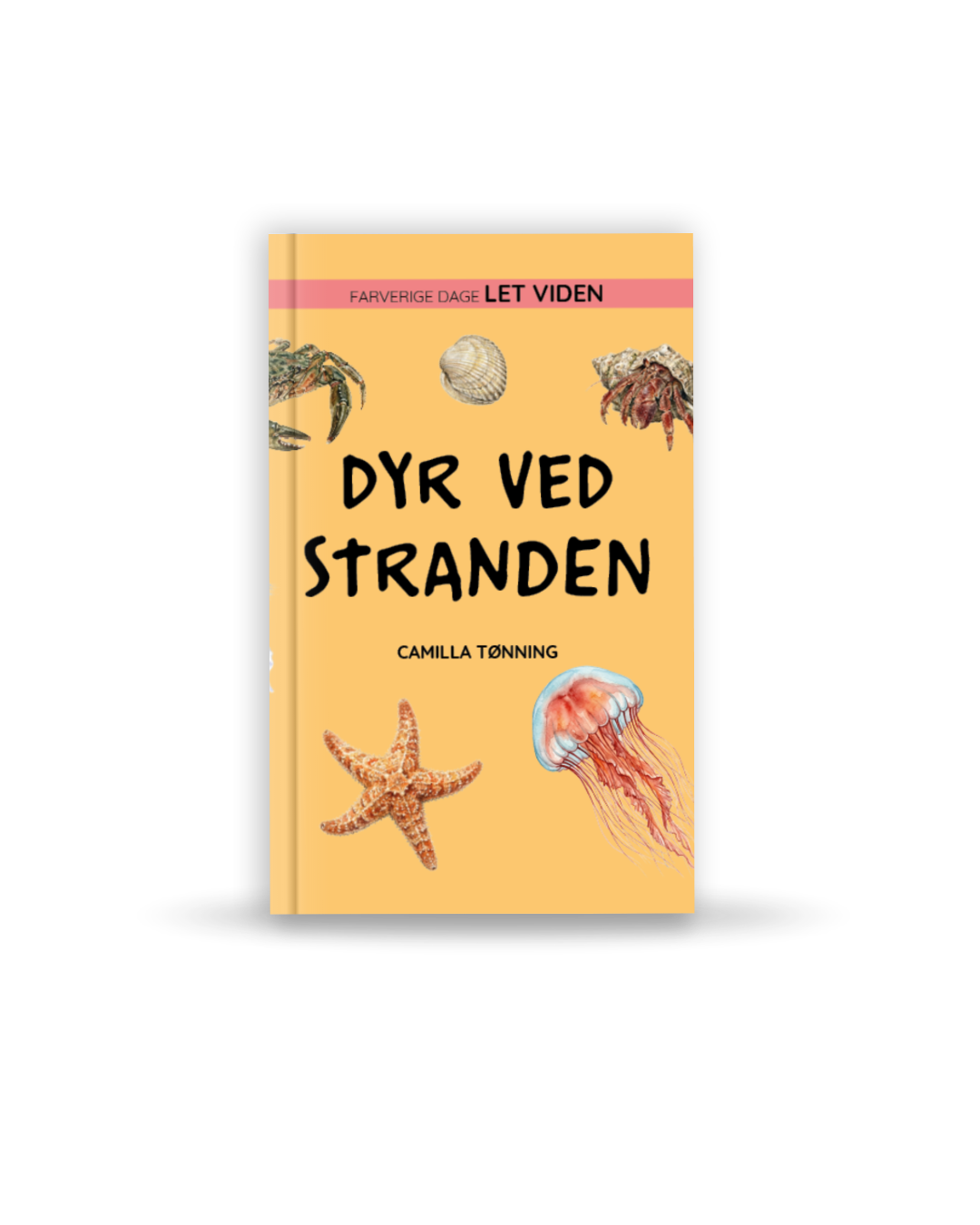 INTROPRIS Let viden: Dyr ved stranden