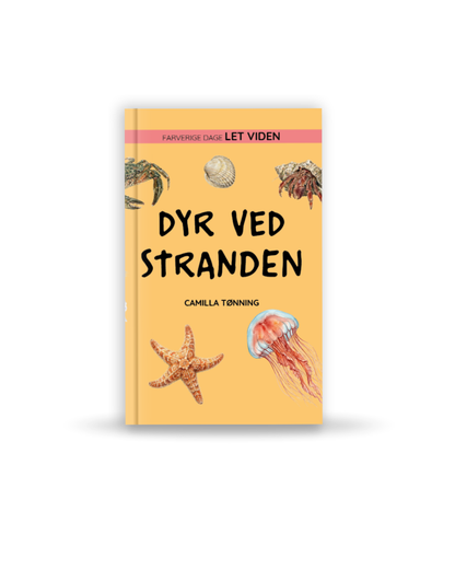 INTROPRIS Let viden: Dyr ved stranden