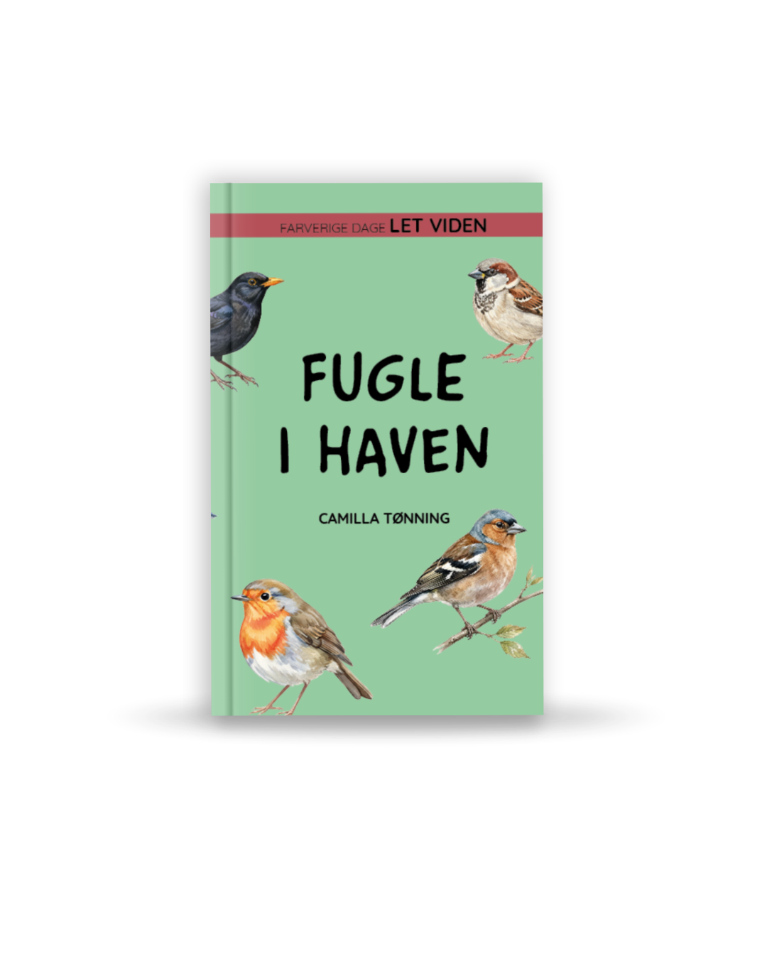 INTROPRIS Let viden: Fugle i haven