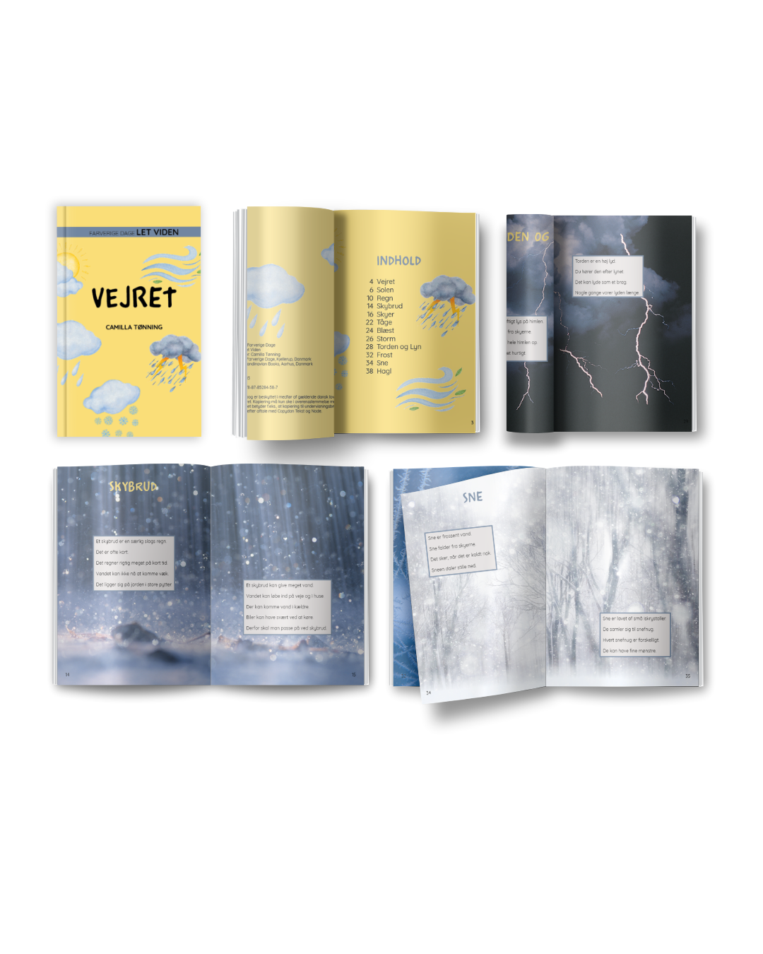 INTROPRIS Let viden: Vejret