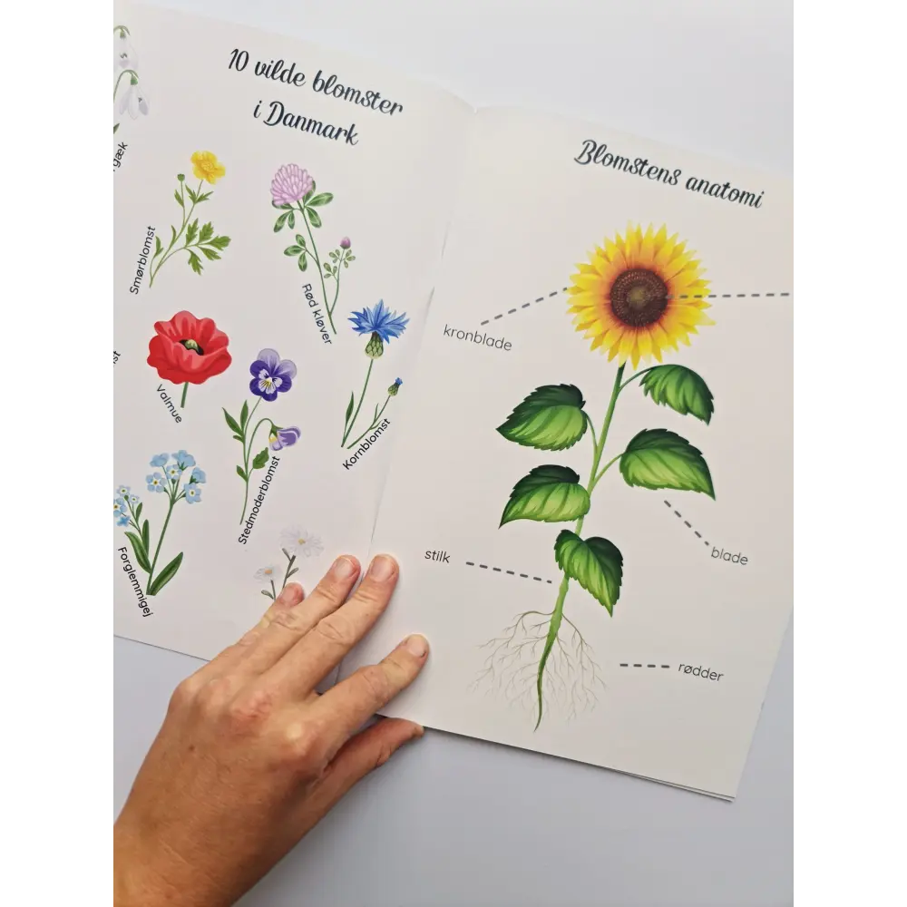Den store blomsterpakke - spar 25%