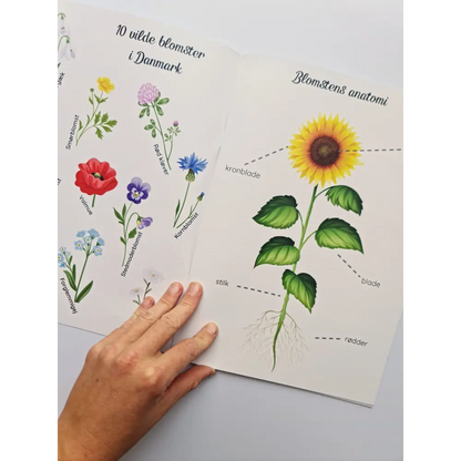 Den store blomsterpakke - spar 25%