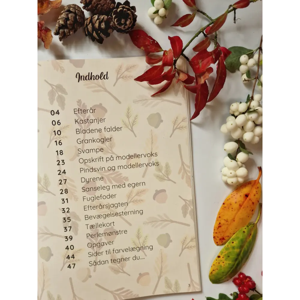 Tema: Efterår - Efterårsaktiviteter til børn - Variabel